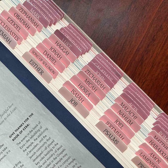 Thinkor Reposition Bible Tabs, Large Print Lanimated Stickers, Easy to Read and Apply Bible Tabs for Women and Man (Four Pink)