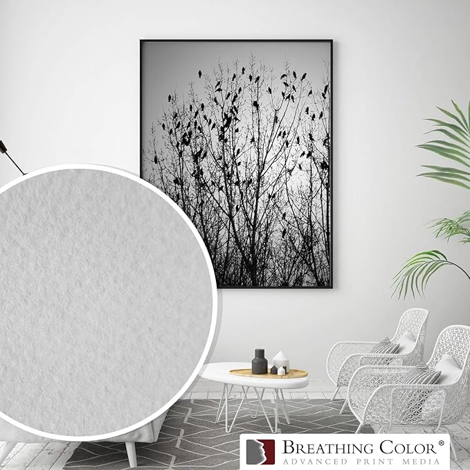 Elegance Velvet 24 in x 40 ft roll is a Premium Matte 310 gsm, Cold Pressed Bright White Museum Grade Fine Art Inkjet Paper, Compatible with Most Dye-Based and Pigment Printers