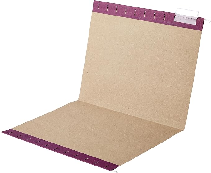 Amazon Basics Hanging File Folders, Sturdy, Letter Size, 25-Pack, Assorted Jewel-tone Colors