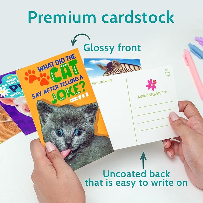 T MARIE 40 Funny Animal Joke Postcards with No Repeats - 4x6” Humorous Bulk Thinking of You Postcards for Kids, Grandkids, Students, and Teachers, Summer Camp, Lunchboxes and More