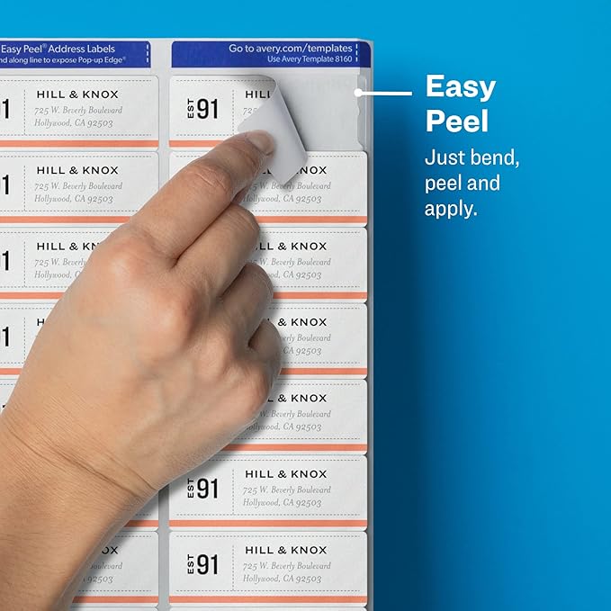 Avery Printable Address Labels with Sure Feed, 1" x 2-5/8", Matte Clear, 750 Blank Mailing Labels (08660)