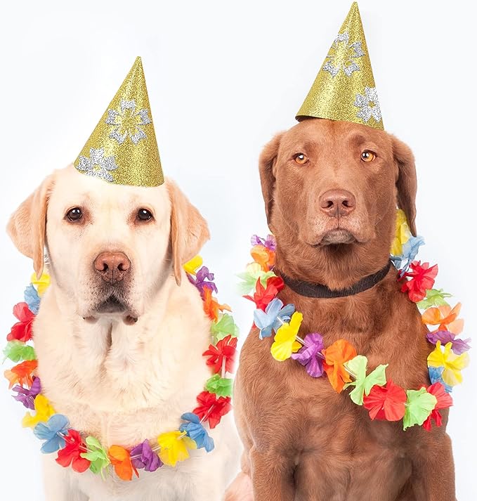 24 Sheets Gold Glitter Cardstock Paper, A4 Premium Sparkly Paper for Scrapbook, DIY Projects, Party Decoration, Gift Box Wrapping 250GSM/92lb