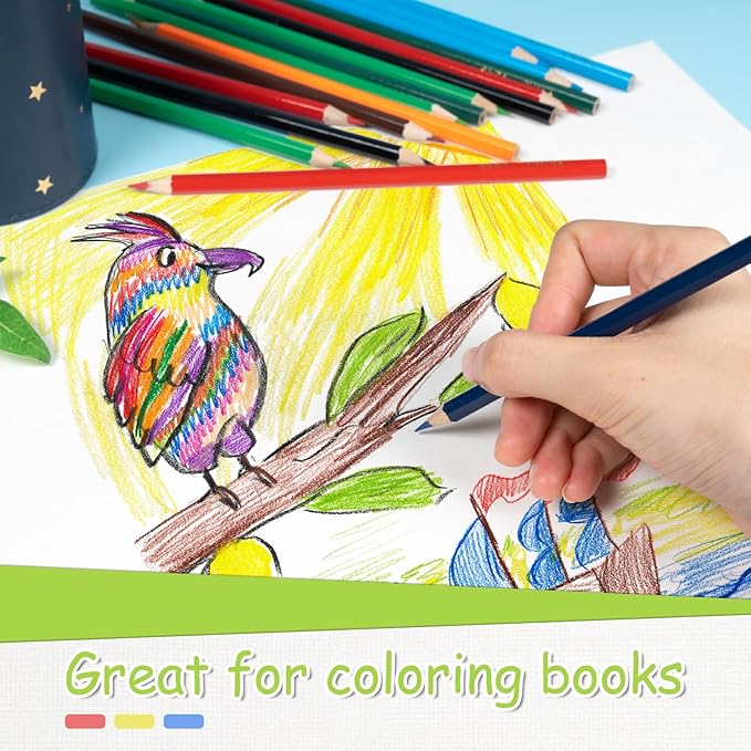 S & E TEACHER'S EDITION 144Pcs Colored Pencils, Pre-sharpened, coloring pencils for adults kids Bulk Back to School Supplies For Teachers 12 Colors, 12pcs/box, 12Boxes, Total: 144Pcs.