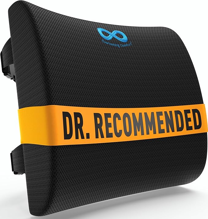 Everlasting Comfort Lumbar Support Pillow for Office Chair - Memory Foam Back Cushion for Chair, Car, Couch - Lumbar Pillow Promotes Better Posture, Back Pain Relief - Ideal for Gaming and Desk Chairs