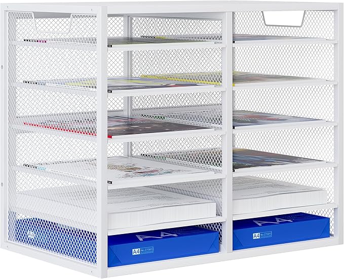 Mail Sorter for Desk, Countertop Literature Organizer, Student Mailbox for Classroom, Desktop Bill Paper Holder Rack for Office Home School, 12 Compartments, White