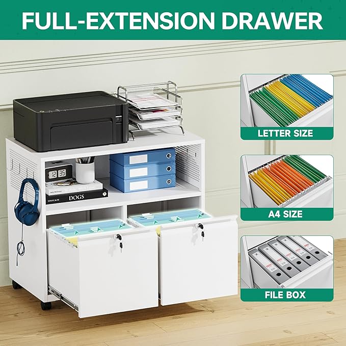 Letaya Mobile 2 Drawer File Cabinet with Lock, Metal Lateral Printer Stand Filing Storage Cabinets with Shelves for Home Office-A4/F4/Letter (White)