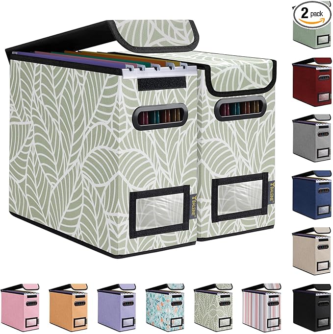 BALEINE File Organizer Box with Lid, Collapsible File Folder Organizer with Plastic Slide, Hanging File Folder Box for Office Document Storage (2 Pack, Antique Foliage, S)