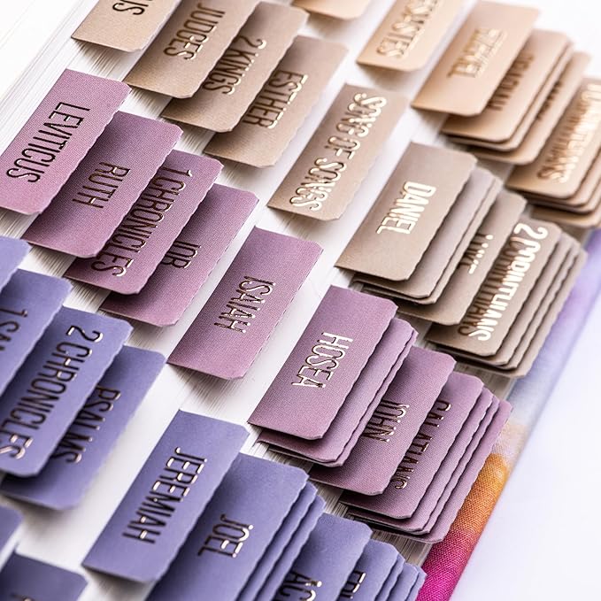 DiverseBee Laminated Bible Tabs (Gold Embossed Lettering), Bible Study Journaling Supplies, Bible Book Tabs, 73 Bible Tabs for Women and Men, Includes 4 Blank Tabs (Olive)