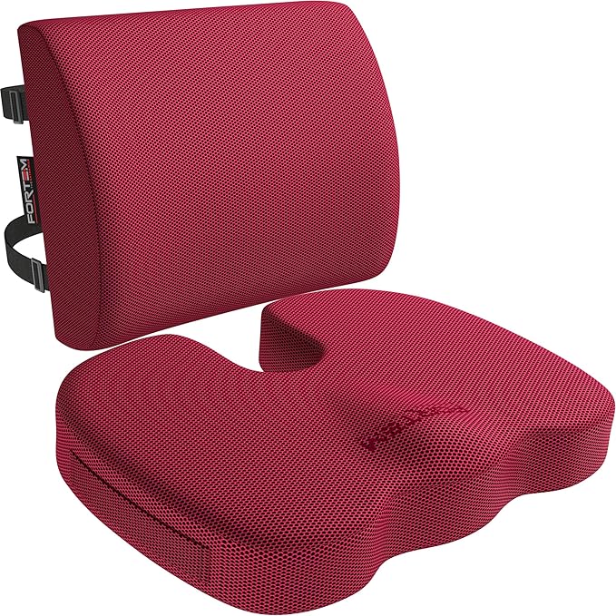 FORTEM Seat Cushion and Lumbar Support for Office Chair, Desk Chair Cushion, Memory Foam Office Chair Cushion, Non Slip Sitting and Back Pillow for Gaming, Car Seat Cushion, Chair Pad
