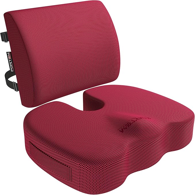 FORTEM Seat Cushion and Lumbar Support for Office Chair, Desk Chair Cushion, Memory Foam Office Chair Cushion, Non Slip Sitting and Back Pillow for Gaming, Car Seat Cushion, Chair Pad, XL