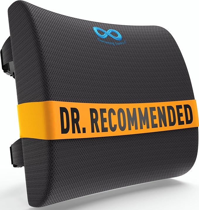 Everlasting Comfort Lumbar Support Pillow for Office Chair - Memory Foam Back Cushion for Chair, Car, Couch - Lumbar Pillow Promotes Better Posture, Back Pain Relief - Ideal for Gaming and Desk Chairs