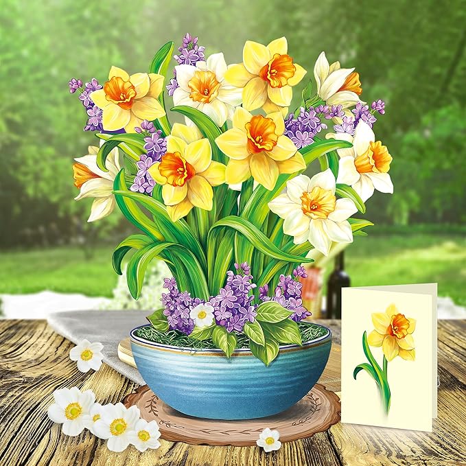 Airpark Pop Up Cards, 12‘’ English Daffodils, Paper Flowers Bouquet 3D Popup Greeting Cards with Blank Note Card and Envelope for Birthday, Get Well Cards Gifts for Women Her