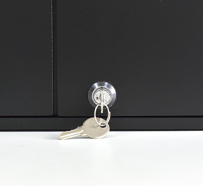 Acrimet Key Cabinet Organizer 64 Positions with Lock (Wall Mount) (64 Smoke Tags Included) (Black Cabinet)